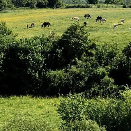 La Maison Du Perche Avec Jacuzzi Feriehus *