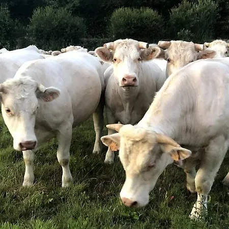 Feriehus La Maison Du Perche Avec Jacuzzi *