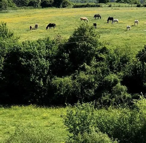 La Maison Du Perche Avec Jacuzzi Semesterbostad *