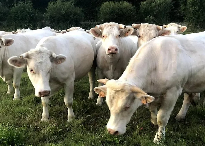 Semesterbostad La Maison Du Perche Avec Jacuzzi *